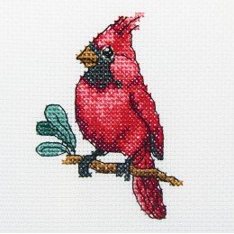 RTO - Pájaro Kardinal
