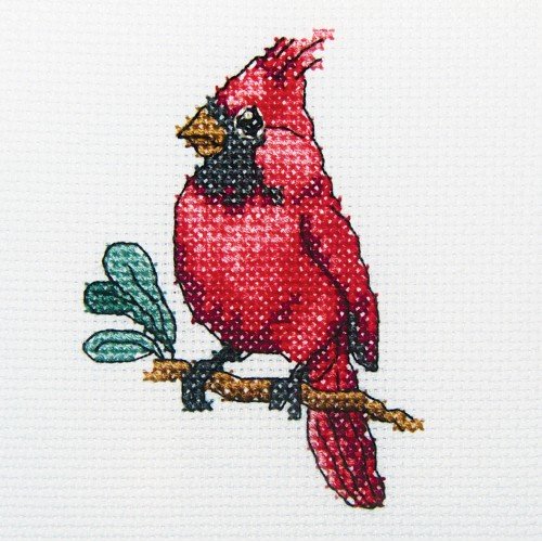 RTO - Pájaro Kardinal