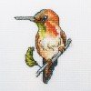 RTO - Colibrí