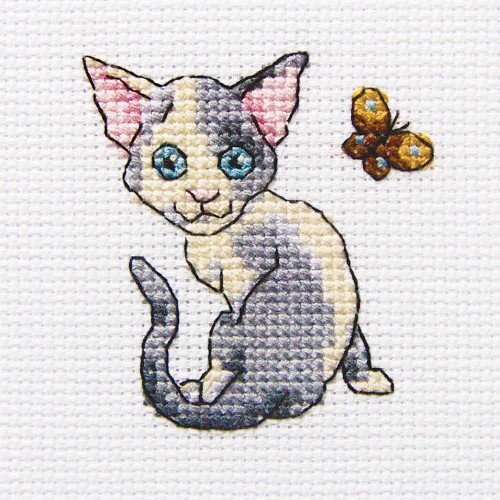 RTO - Fanny Mickey