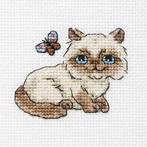 RTO - Fluffy Baksie