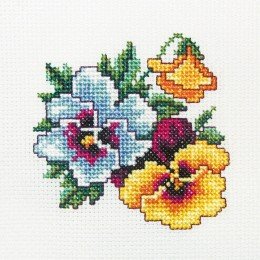 RTO - Pansy