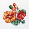 RTO - Capuchina