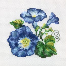 RTO - Convolvulus