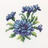 RTO - Cornflower