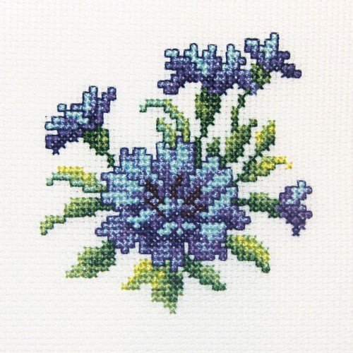 RTO - Cornflower