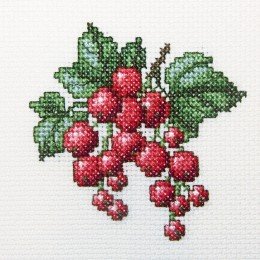 RTO - Redcurrant