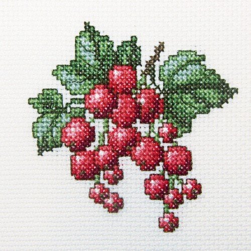 RTO - Redcurrant