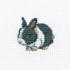 RTO - Cute rabbit