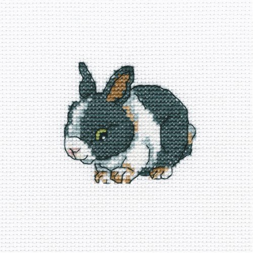 RTO - Cute rabbit