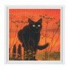 RTO - Gato al atardecer