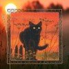 RTO - Gato al atardecer