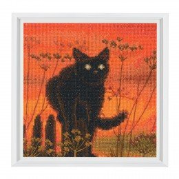 RTO - Sunset cat