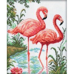 RTO - Flamingo