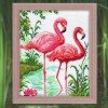 RTO - Flamingo