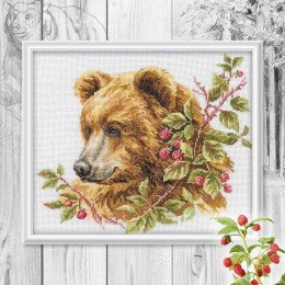 RTO - Bear And Raspberry