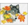 RTO - Wolf
