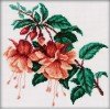 RTO - Fuchsia