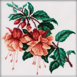 RTO - Fuchsia
