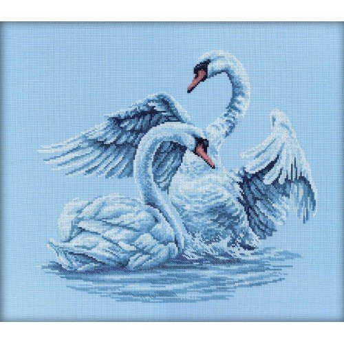 RTO - Swan fidelity