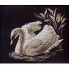 RTO - Cisne