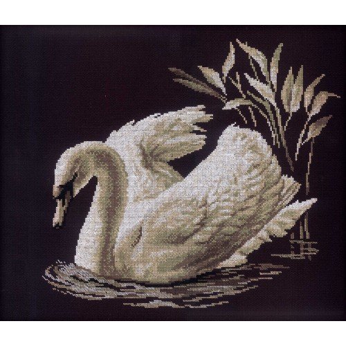 RTO - Cisne