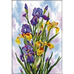RTO - Watercolor irisest