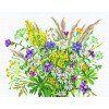 RTO - Flores silvestres