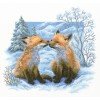 RTO - Fox cubsr
