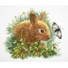 RTO - Rabbit and butter
