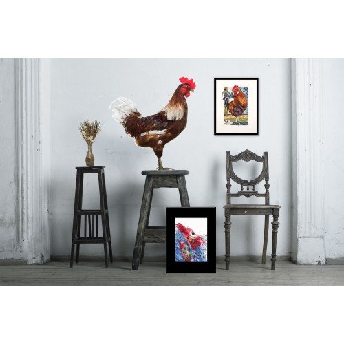 RTO - ¡¿Pollo asado con patatas?!