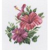 RTO - Hibiscus