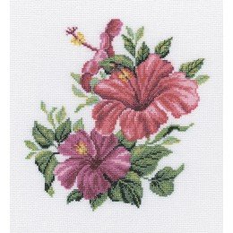 RTO - Hibiscus