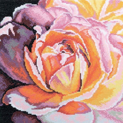 RTO - El secreto