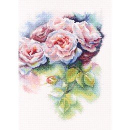 RTO - Dicha rosa