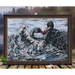 RTO - Two black swans