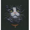 RTO - El favorito de los gatos
