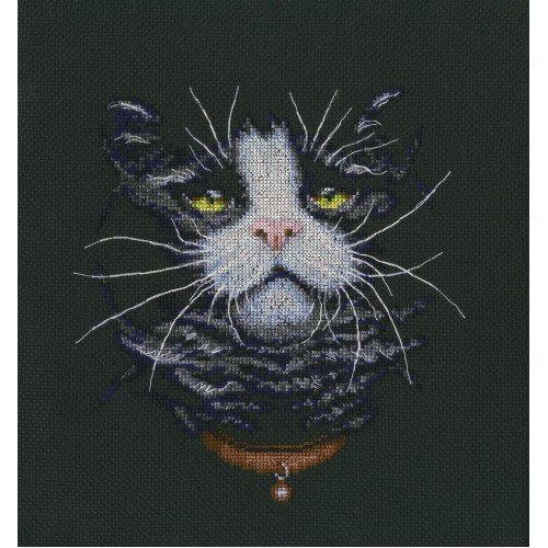 RTO - El favorito de los gatos