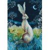 RTO - Hare by night