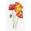 RTO - Amapolas de seda