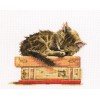 RTO - El sueño del gato