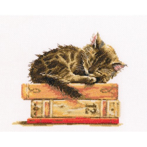 RTO - El sueño del gato