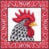 RTO - Handsome rooster