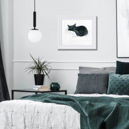 RTO - Among black cats