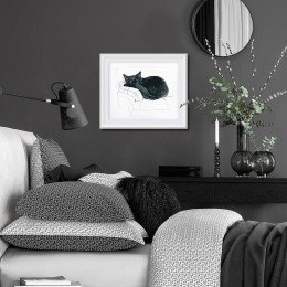 RTO - Among black cats