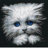 RTO - Fluffy