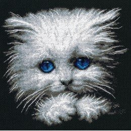 RTO - Fluffy