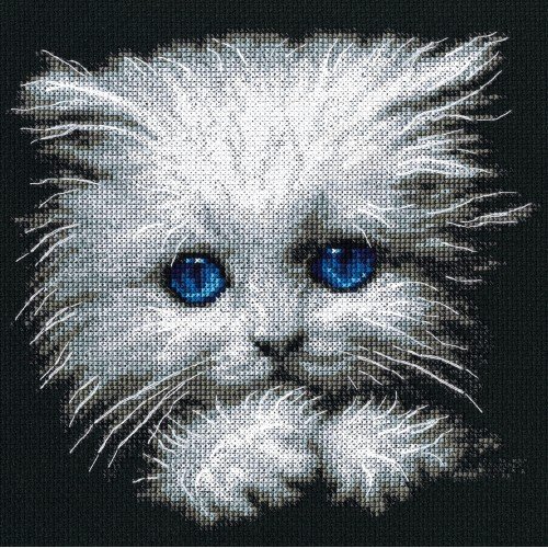 RTO - Fluffy