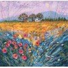 RTO - Amapolas de cosecha tardía