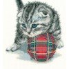 RTO - Playful kitten